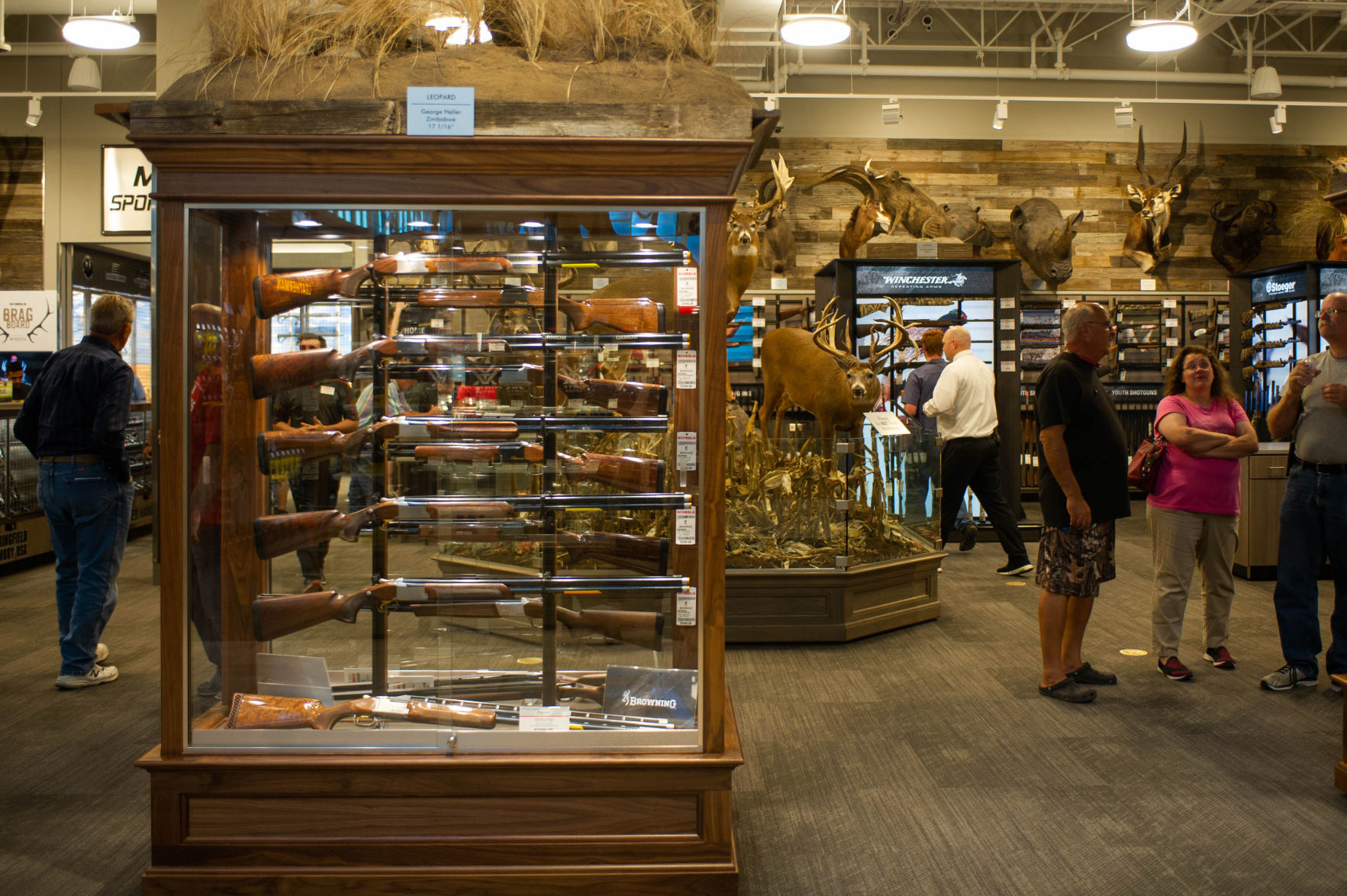 Scheels